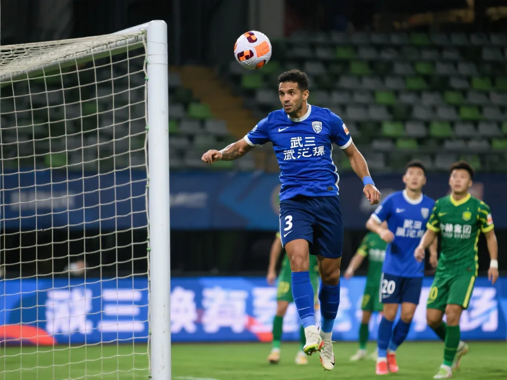 充分显示了 充分显示了